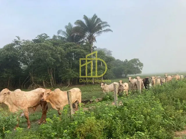 Fazenda com 66360000m², à venda, no bairro Zona Rural em São Félix do Xingu