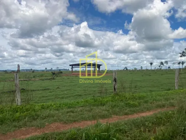 Fazenda com 66360000m², à venda, no bairro Zona Rural em São Félix do Xingu