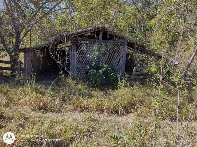Foto do Fazenda - Fazenda para cria e recria de gado à venda,, Buriti Alegre, GO | M360 Imóveis