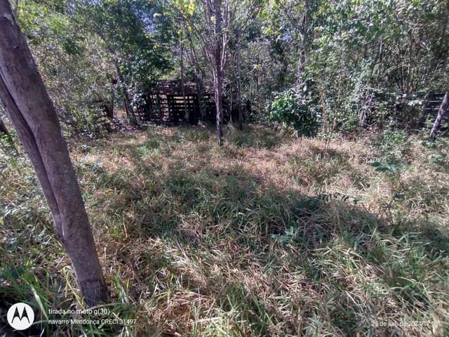 Foto do Fazenda - Fazenda para cria e recria de gado à venda,, Buriti Alegre, GO | M360 Imóveis