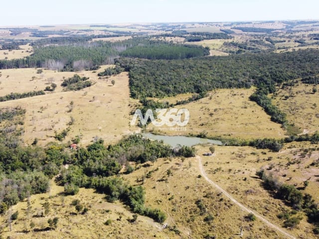Foto do Fazenda - Fazenda para cria e recria de gado à venda,, Buriti Alegre, GO | M360 Imóveis