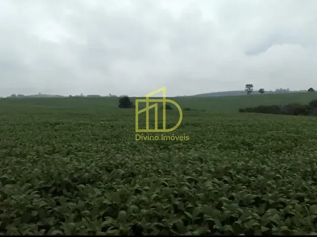Fazenda com 1185800m², à venda, no bairro Vila São Gonçalo em Itapetininga