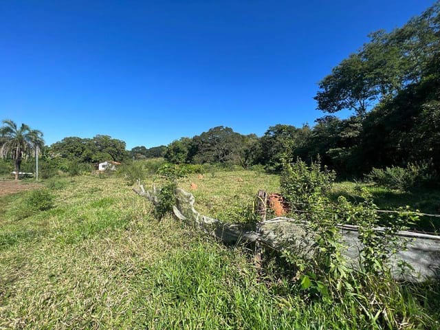 Foto do Fazenda - Fazenda à venda, Área Rural de Senador Canedo, Senador Canedo, GO | M360 Imóveis