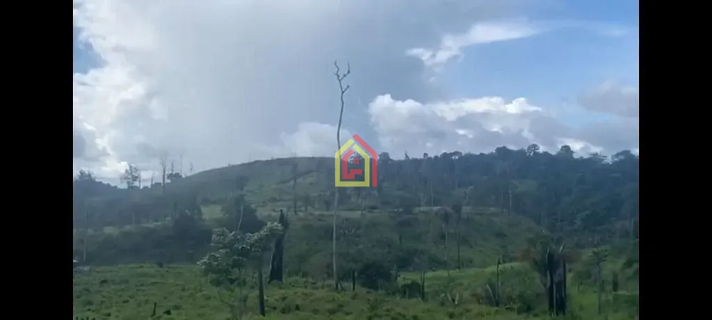 Rural à venda com 14036000m² de terreno no 4.537347, -50.183252, Novo Repartimento (PA) — foto 8 de 8