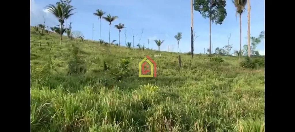 Rural à venda com 14036000m² de terreno no 4.537347, -50.183252, Novo Repartimento (PA) — foto 2 de 8