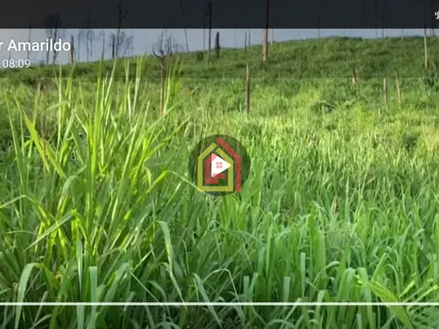 Fazenda com 14036000m², à venda, no bairro 4.537347, -50.183252 em Novo Repartimento