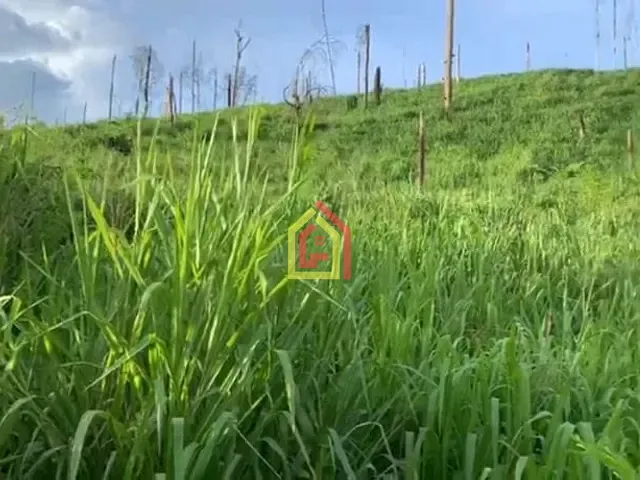 Fazenda com 14036000m², à venda, no bairro 4.537347, -50.183252 em Novo Repartimento