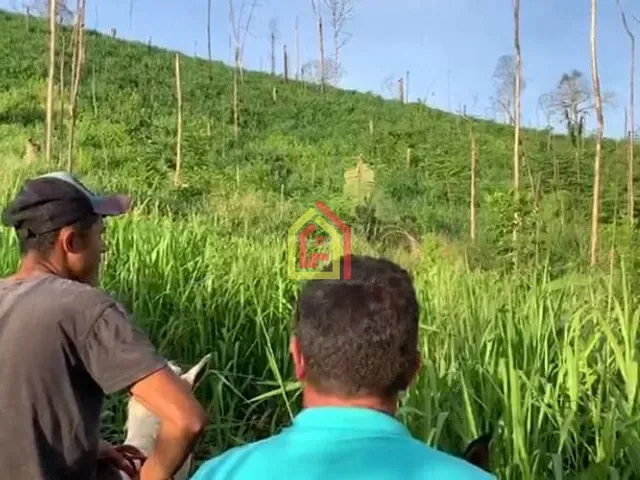 Fazenda com 14036000m², à venda, no bairro 4.537347, -50.183252 em Novo Repartimento