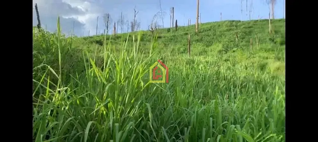 Rural à venda com 14036000m² de terreno no 4.537347, -50.183252, Novo Repartimento (PA) — foto 5 de 8