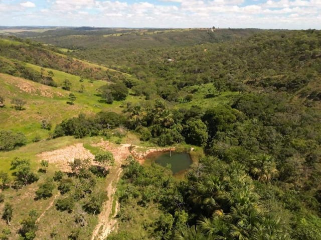 Foto do Fazenda - Fazenda  dupla aptidão em  Campo Alegre de Goiás, GO | Provenda Imobiliária