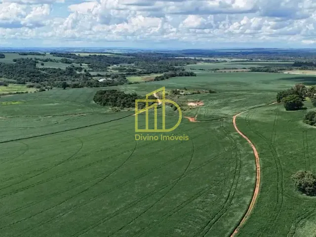 Fazenda com 4970000m², à venda, no bairro Serrinha da Prata em Paranapanema