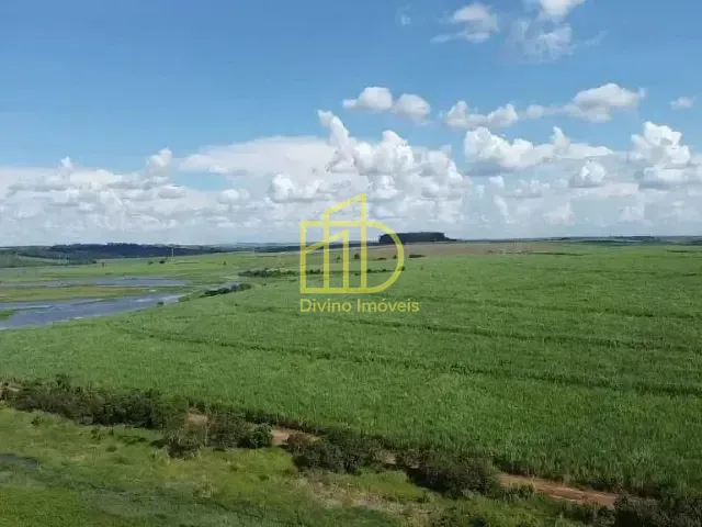 Fazenda com 3025000m², à venda, no bairro Centro em Avaré