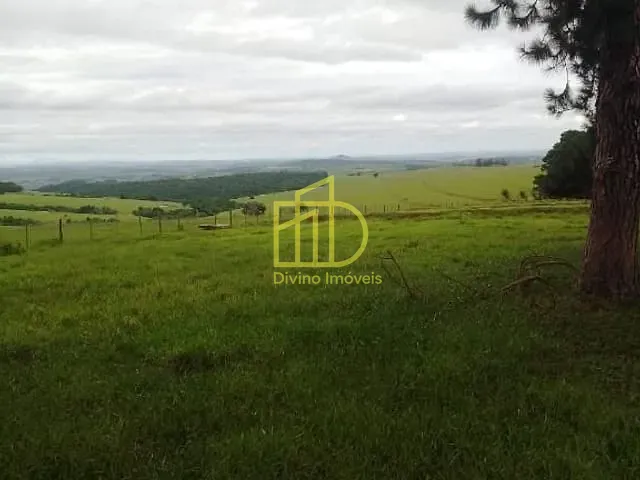 Fazenda com 6897000m², à venda, no bairro Barra Alegre em Riversul