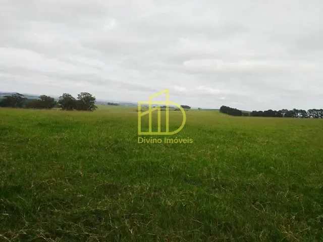 Fazenda com 6897000m², à venda, no bairro Barra Alegre em Riversul
