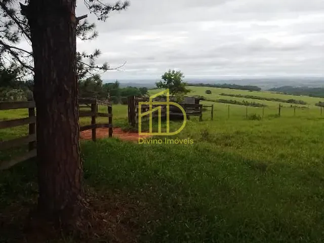 Fazenda com 6897000m², à venda, no bairro Barra Alegre em Riversul