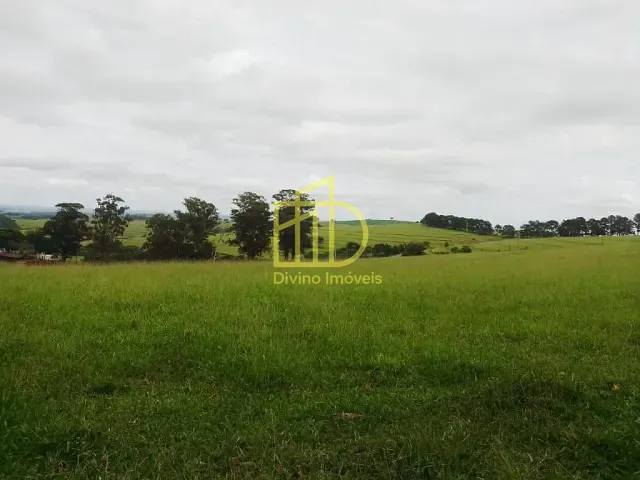 Fazenda com 6897000m², à venda, no bairro Barra Alegre em Riversul