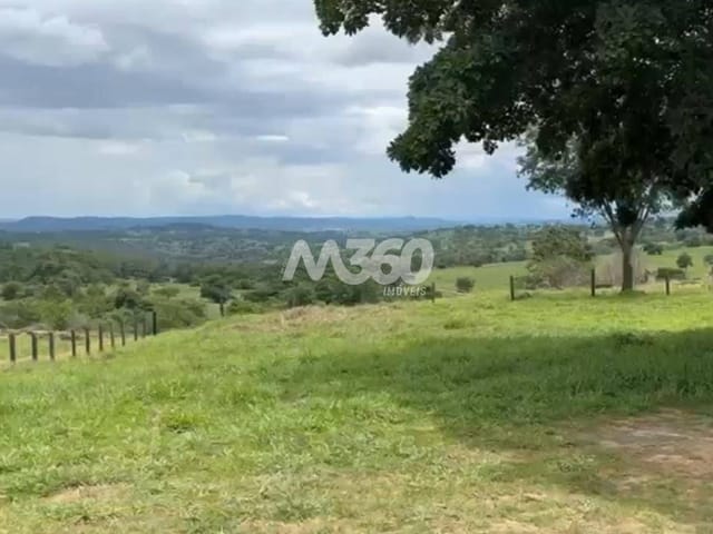Foto do Fazenda - Fazenda de 35 alqueires para cria de gado em Rubiataba, GO | M360 Imóveis