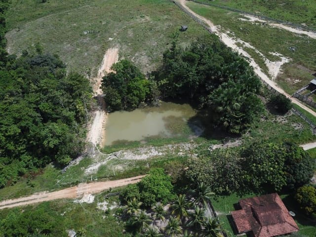 Foto do Fazenda - Fazenda à venda, 31460000 m² por R$ 19.500.000,00 - -3.402601, -51.280603 - Anapú/PA | Tercasa Imobiliária & Construtora