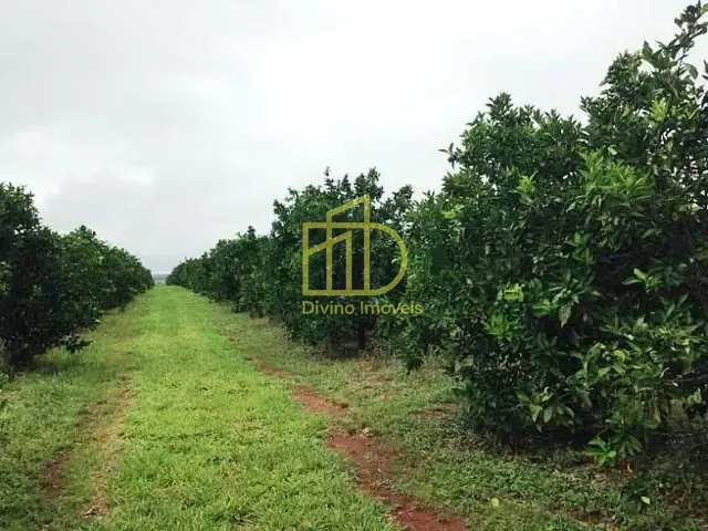 Fazenda com 8470000m², à venda, no bairro Vila Apolo em Itapetininga