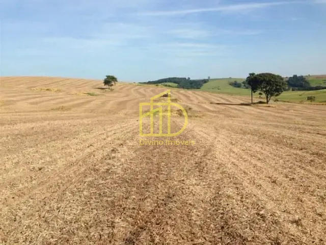 Fazenda com 8470000m², à venda, no bairro Vila Apolo em Itapetininga