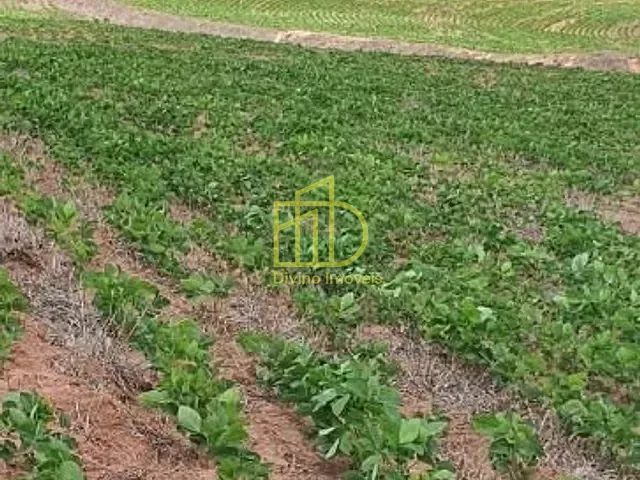 Fazenda com 8470000m², à venda, no bairro Vila Apolo em Itapetininga