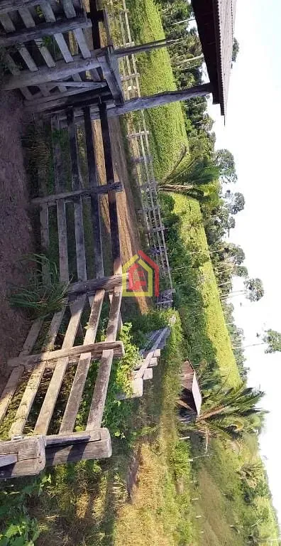 Rural à venda com 10986800m² de terreno no -4.334255, -49.798835, Novo Repartimento (PA) — foto 3 de 4