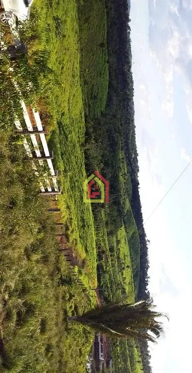 Rural à venda com 10986800m² de terreno no -4.334255, -49.798835, Novo Repartimento (PA) — foto 2 de 4