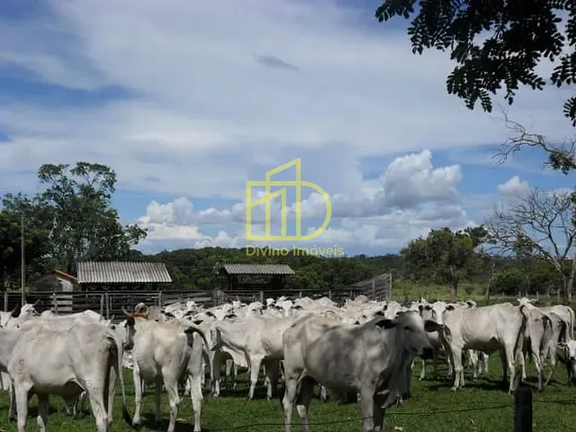 Fazenda com 1258400m², à venda, no bairro Jardim América I em Bataguassu