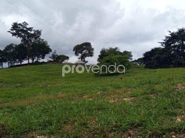 Foto do Fazenda - FAZENDA DE CRIA DE GADO - 28,5 ALQUEIRES  - RUBIATABA/GO | Provenda Imobiliária