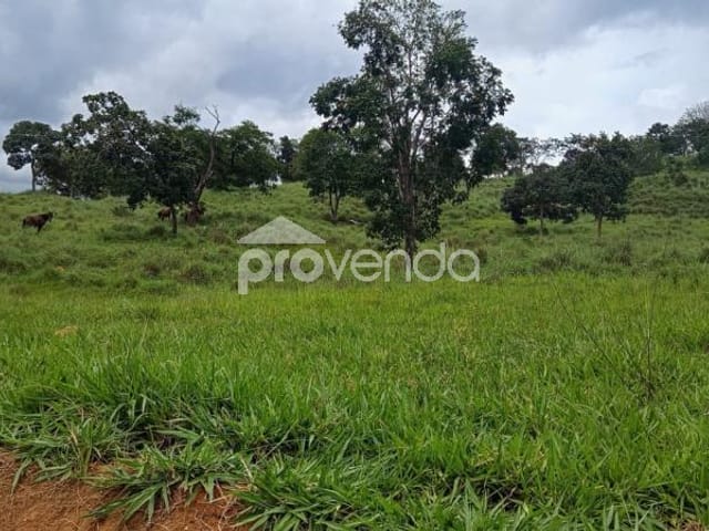 Foto do Fazenda - FAZENDA DE CRIA DE GADO - 28,5 ALQUEIRES  - RUBIATABA/GO | Provenda Imobiliária