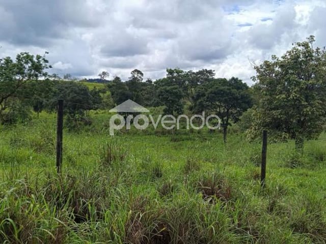 Foto do Fazenda - FAZENDA DE CRIA DE GADO - 28,5 ALQUEIRES  - RUBIATABA/GO | Provenda Imobiliária