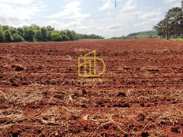 Fazenda com 1669800m², à venda, no bairro Vila São Gonçalo em Itapetininga
