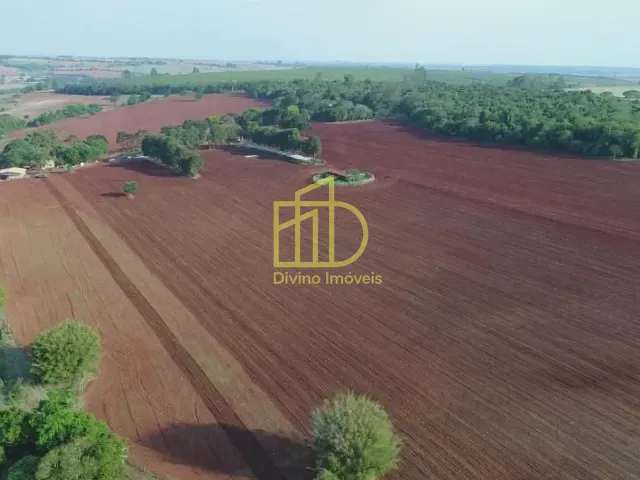 Fazenda com 1669800m², à venda, no bairro Vila São Gonçalo em Itapetininga