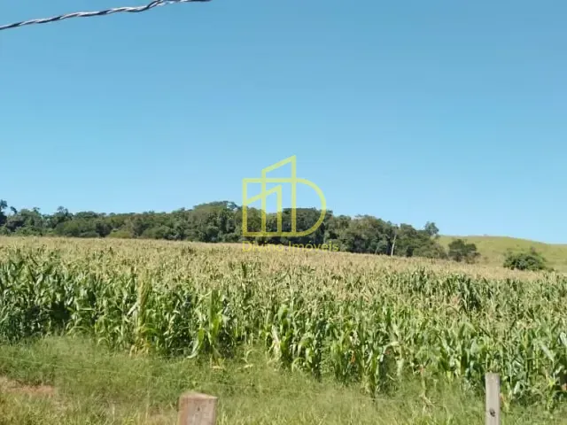 Fazenda com 726000m² 3 quartos e 1 banheiro, à venda, no bairro Vila Sao Jose em Angatuba