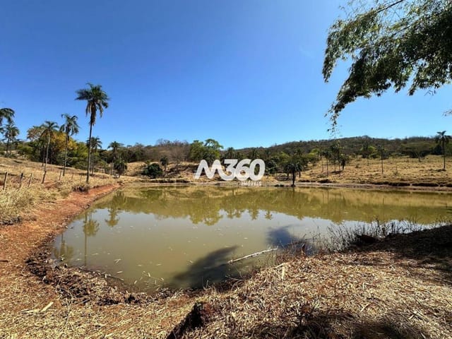 Foto do Fazenda - FAZENDA DE CRIA -  ÁREA 919.600 m² (19 ALQUEIRES) - JANDAIA/GO | Provenda Imobiliária