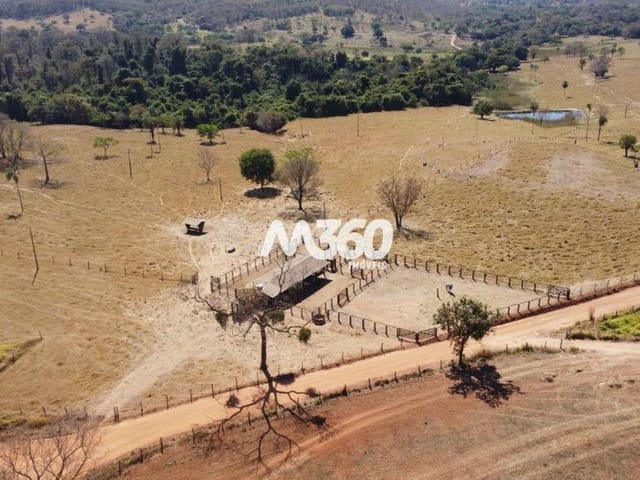 Foto do Fazenda - FAZENDA DE CRIA -  ÁREA 919.600 m² (19 ALQUEIRES) - JANDAIA/GO | Provenda Imobiliária