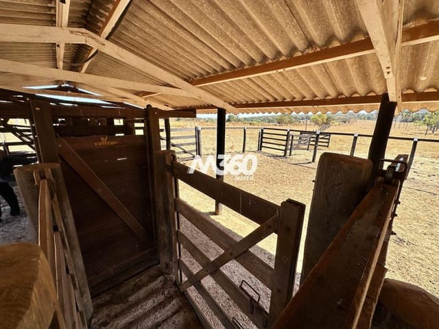 Foto do Fazenda - FAZENDA DE CRIA -  ÁREA 919.600 m² (19 ALQUEIRES) - JANDAIA/GO | Provenda Imobiliária