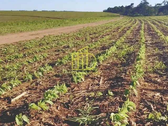 Fazenda com 3484800m², à venda, no bairro Vila Nastri em Itapetininga