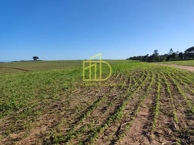 Fazenda com 3484800m², à venda, no bairro Vila Nastri em Itapetininga