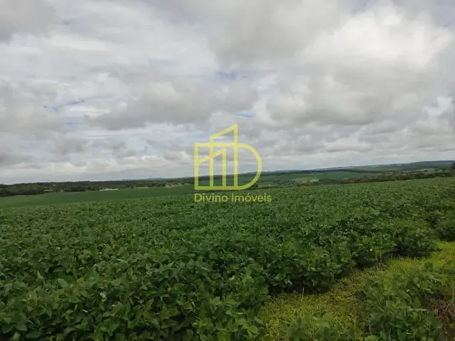 Fazenda com 3484800m², à venda, no bairro Vila Nastri em Itapetininga