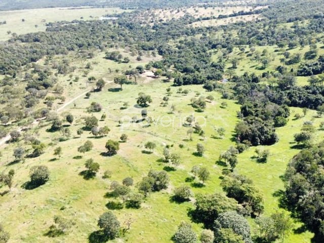 Foto do Fazenda - FAZENDA DE CRIA - ÁREA 3.242.800 m² (67 ALQUEIRES) - 40 ALQUEIRES DE PASTO - MARZAGÃO/GO | Provenda Imobiliária