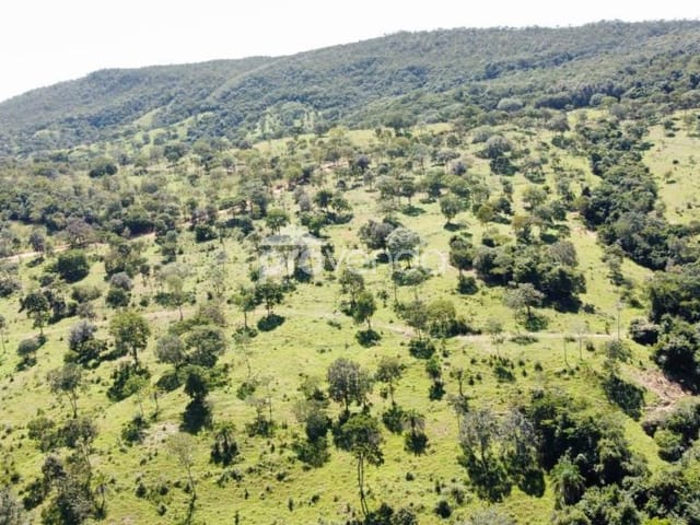Foto do Fazenda - FAZENDA DE CRIA - ÁREA 3.242.800 m² (67 ALQUEIRES) - 40 ALQUEIRES DE PASTO - MARZAGÃO/GO | Provenda Imobiliária