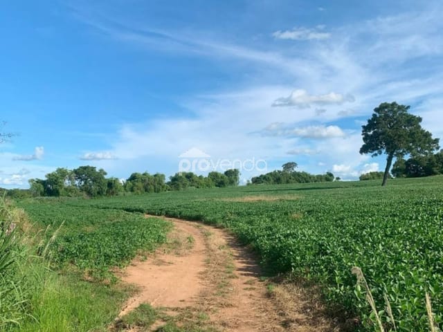 Foto do Fazenda - FAZENDA DE PLANTIO - ÁREA 1.903.200m² (39 ALQUEIRES) - ÀS MARGENS DO RIO CAPIVARI - JANDAIA/GO | Provenda Imobiliária