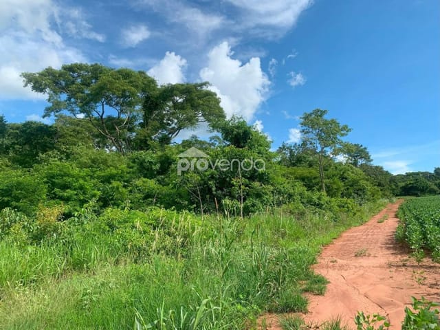 Foto do Fazenda - FAZENDA DE PLANTIO - ÁREA 1.903.200m² (39 ALQUEIRES) - ÀS MARGENS DO RIO CAPIVARI - JANDAIA/GO | Provenda Imobiliária