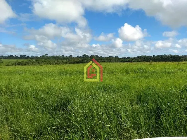 Fazenda com 105512m², à venda, no bairro Marabá Pioneira em Marabá