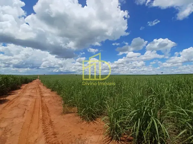 Fazenda com 6630800m², à venda, no bairro Ailto Iracema em Pacaembu