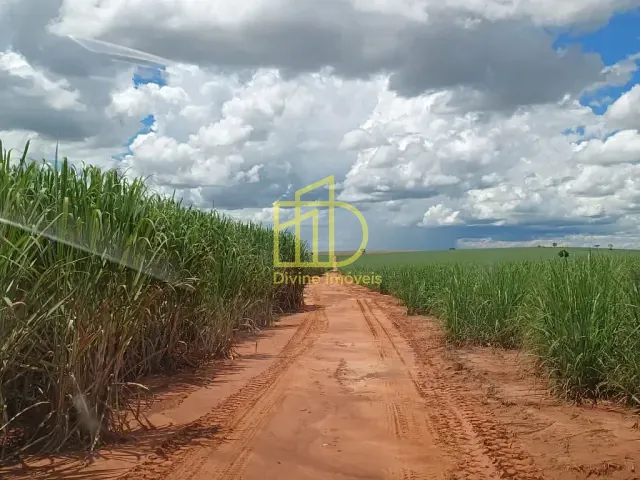 Fazenda com 6630800m², à venda, no bairro Ailto Iracema em Pacaembu
