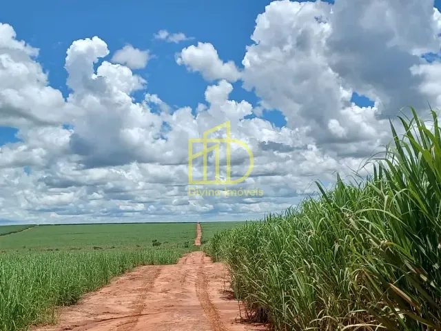 Fazenda com 6630800m², à venda, no bairro Ailto Iracema em Pacaembu