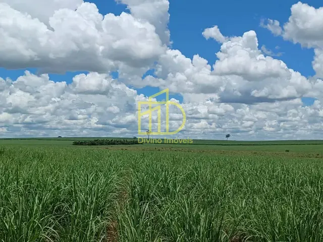 Fazenda com 6630800m², à venda, no bairro Ailto Iracema em Pacaembu