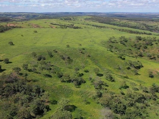 Foto do Fazenda - CHÁCARA DUPLA  APTIDÃO - CAMPO ALEGRE DE GOIÁS - GO | Provenda Imobiliária
